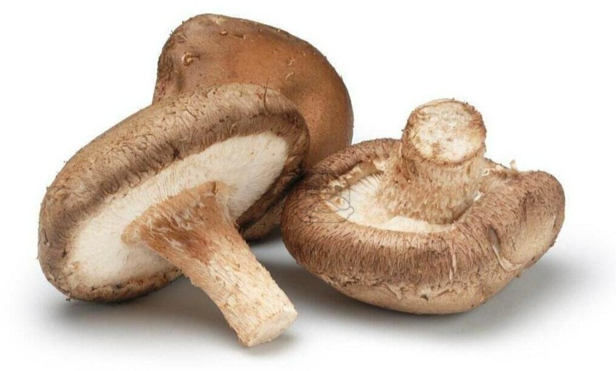 Mushrooms Shitaki