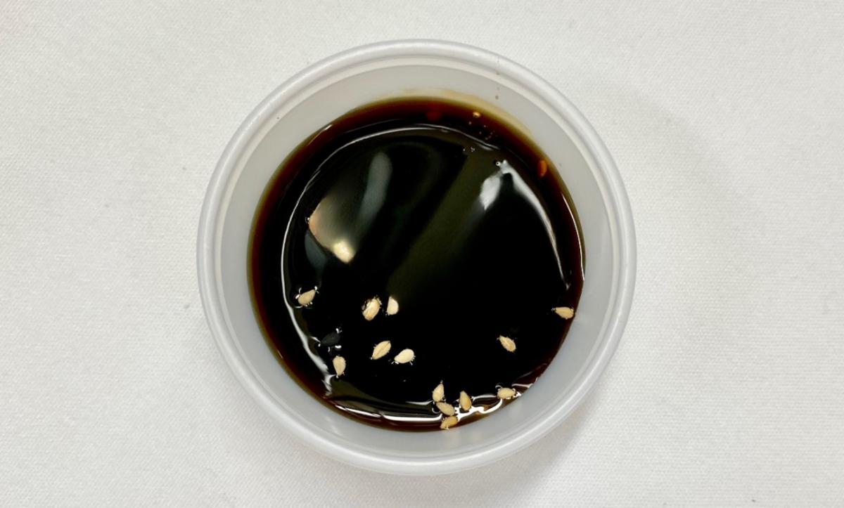 Side of Eel Sauce