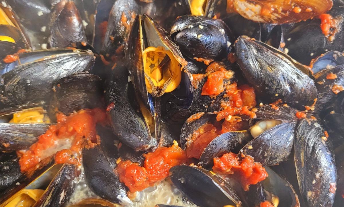 Mussels