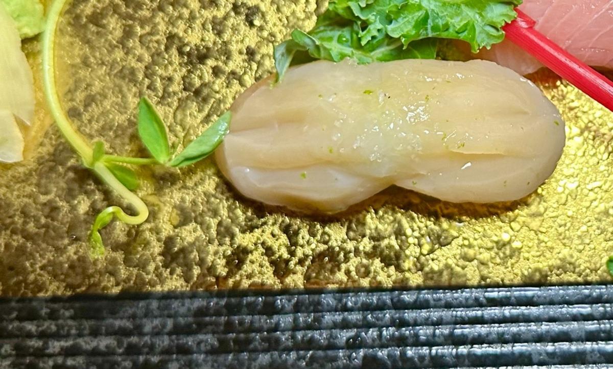Hotate (Scallop)