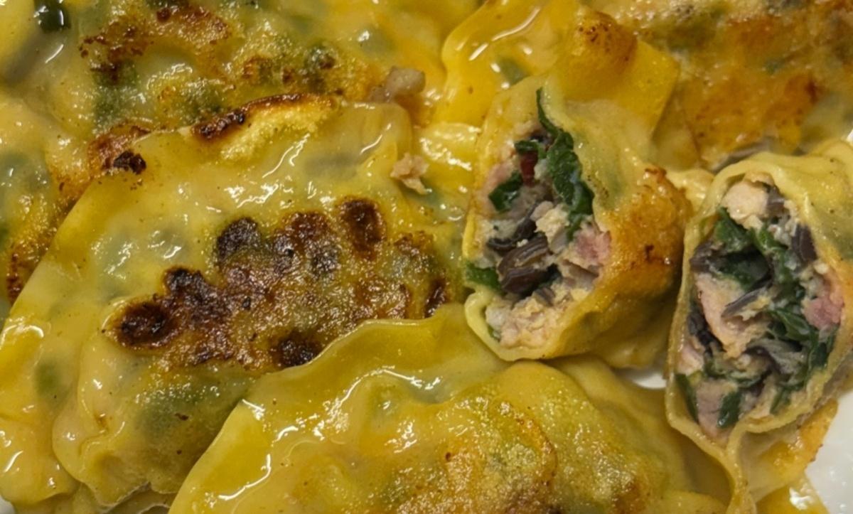 Pan Fried Spicy Chicken Dumpling (6)