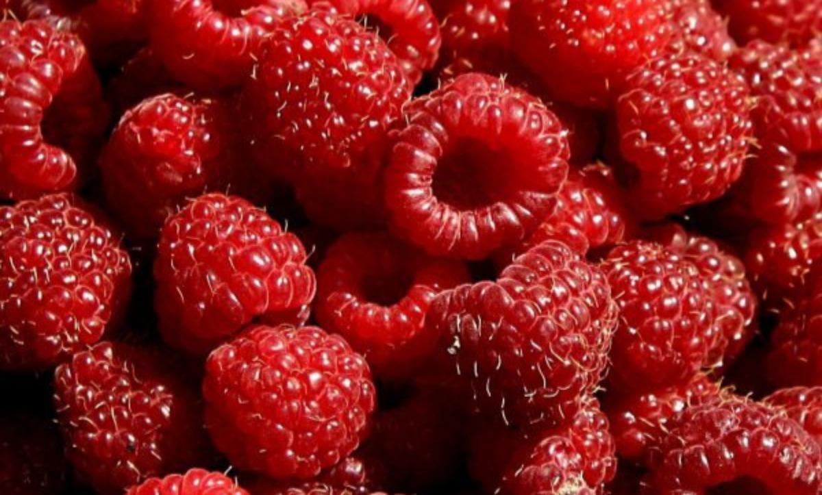 Chocolate Raspberry