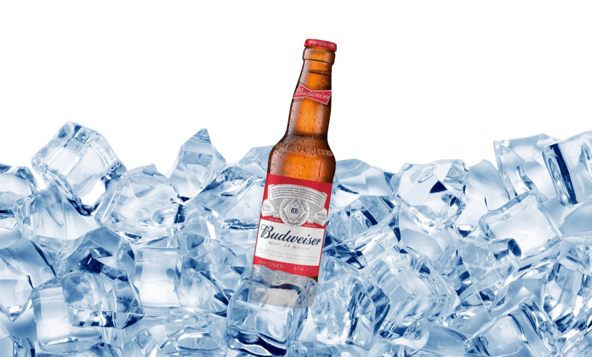 Budweiser Bottle